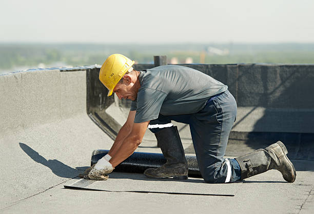 Best Cellulose Insulation in Cameron, WI